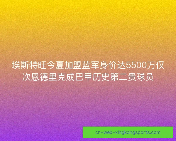 埃斯特旺今夏加盟蓝军身价达5500万仅次恩德里克成巴甲历史第二贵球员