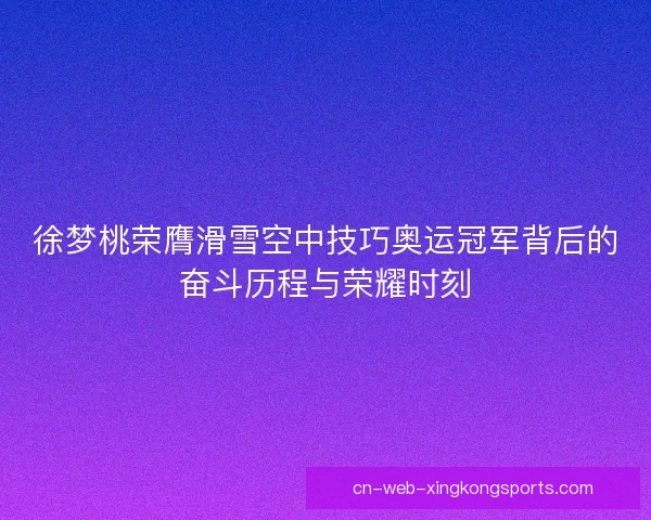 徐梦桃荣膺滑雪空中技巧奥运冠军背后的奋斗历程与荣耀时刻