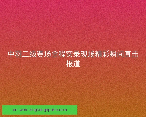 中羽二级赛场全程实录现场精彩瞬间直击报道 中羽二级赛场全程实录现场精彩瞬间直击报道